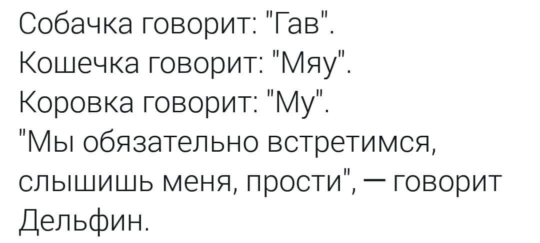 собачка говорит гав. как говорит кошка для детей. мемы с собаками. мяу картинки. мяу картинки.