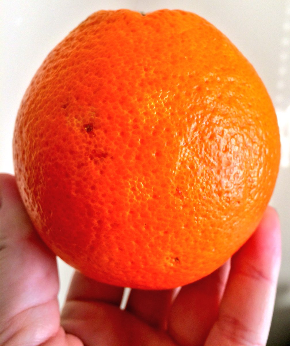 Camilla S. Tveit tweet media