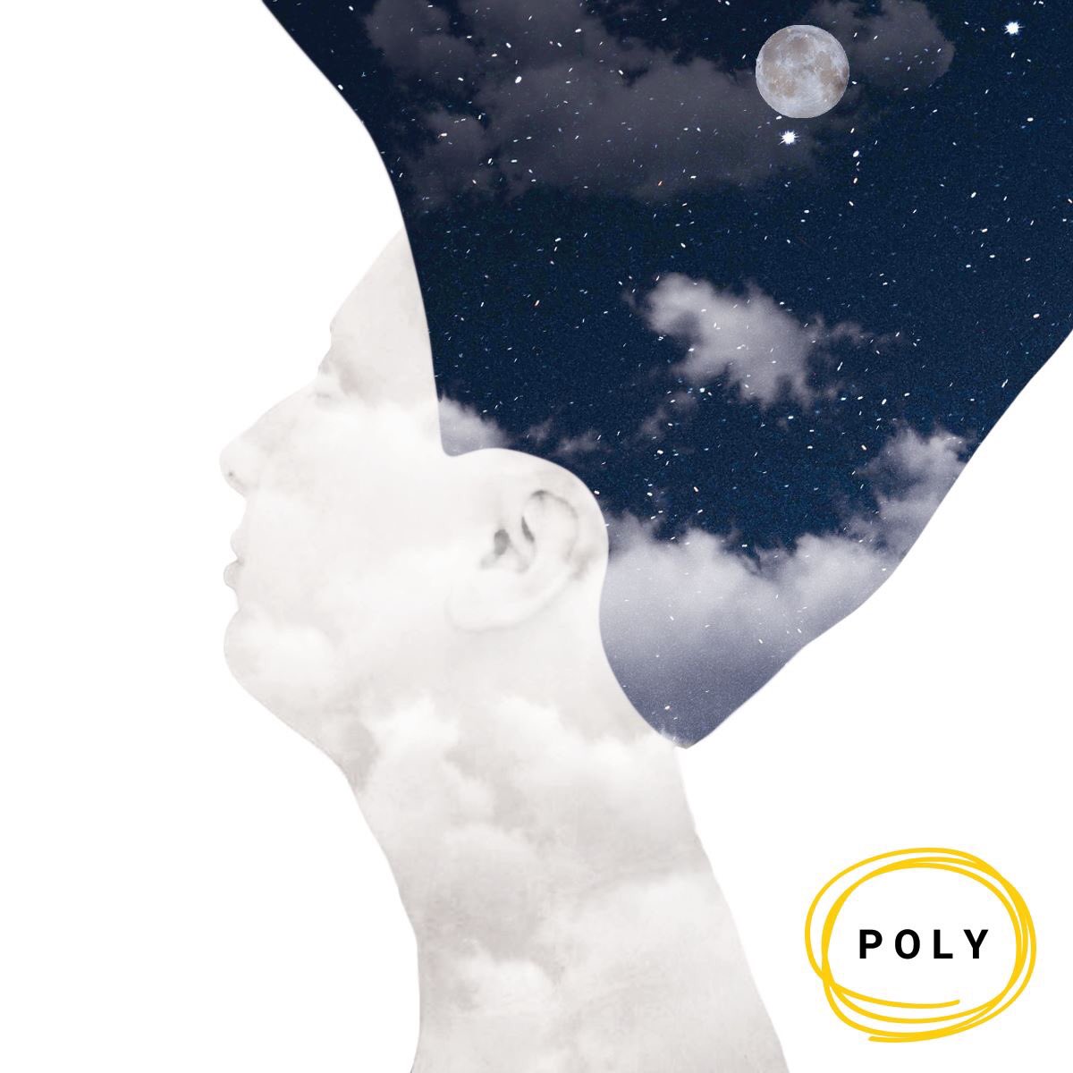 PolyODesign tweet picture