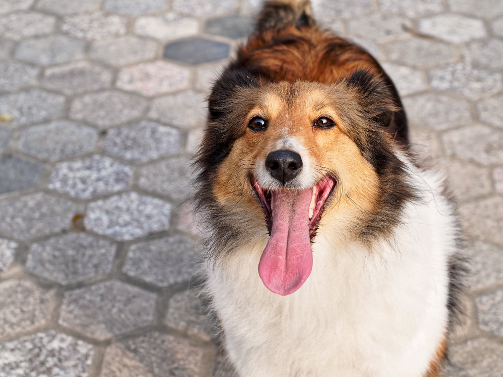 Positive Thinking! vavfw.org/single-post/20…