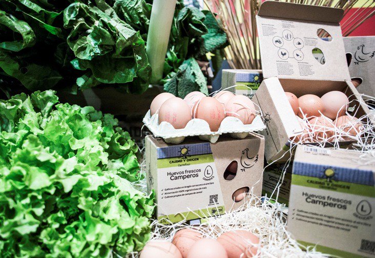 CarrefourGroup's tweet photo. 🇪🇸 @CarrefourES &amp; @Granja_Rosario sign a new #QualityLine : eggs picked up at #sustainable farms https://t.co/86n0ao50Sv https://t.co/ItRTN8qsqL