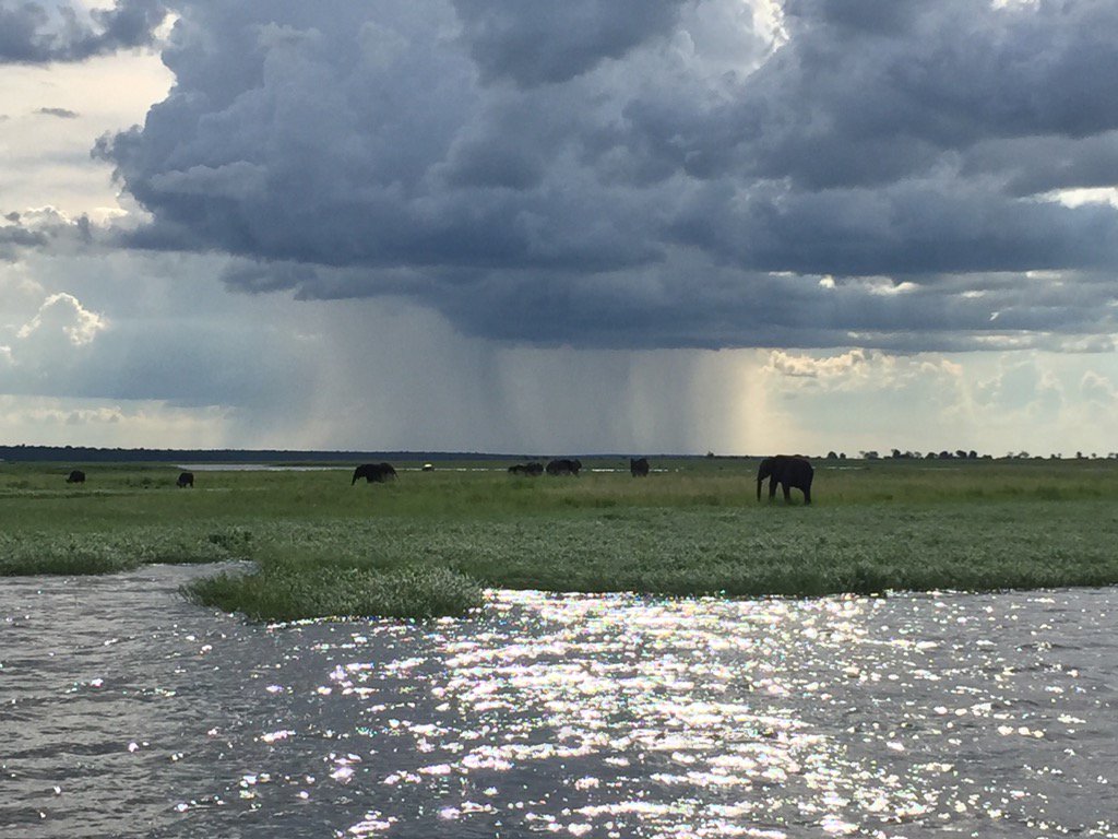 Seeff_Botswana's tweet photo. #Chobe River https://t.co/w6dmVdhhvD