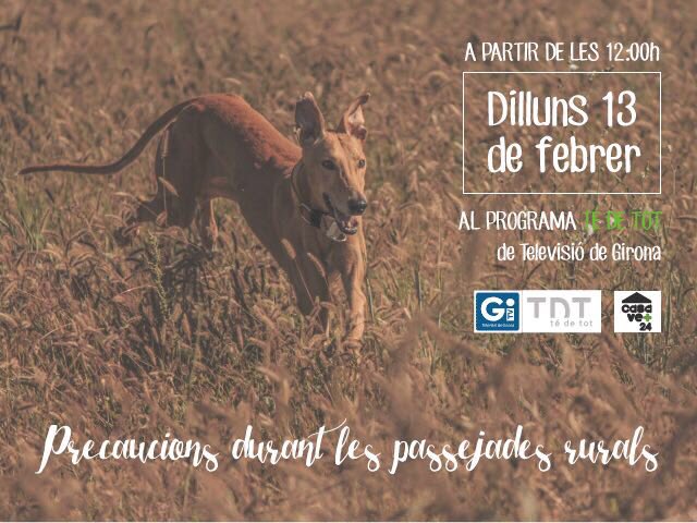 CasaVet24's tweet photo. Dilluns 13 al @tedetot_tvgi @tvgirona a partir de les 12h. #prevenció #salut #veterinariadomicili https://t.co/Lm14yUv15U