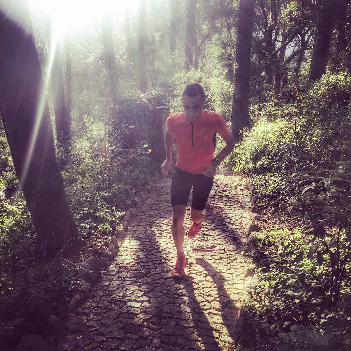 crisclemente85's tweet photo. Tres palabras pueden resumir todo lo que he aprendido en estos años: seguir hacia delante 🏃🏻 #trailrunning #trailrunner #freetrailrun https://t.co/Te3nz7CInt