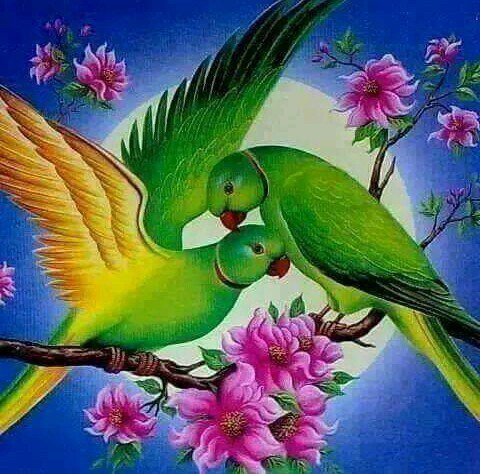 LopFirst's tweet image. 