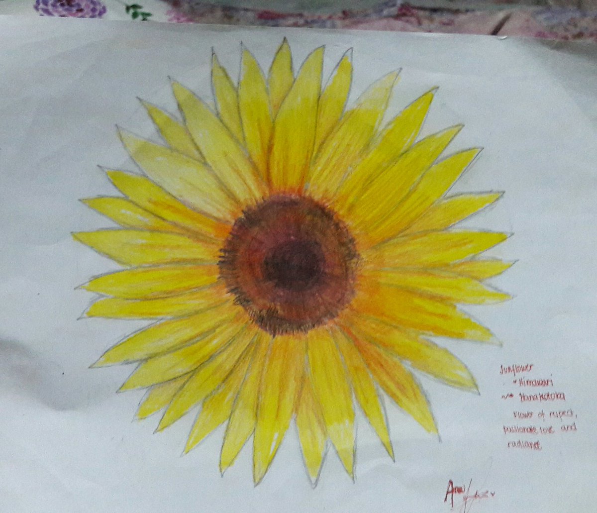 Hanakotoba:
Sunflower / Himawari
Respect, Passionate Love and Radiance
#Hanakotoba #MeaningOfFlowers