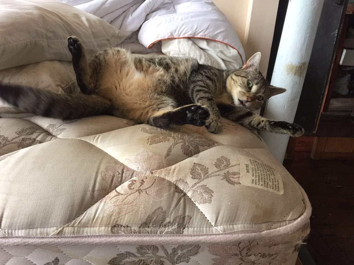 tfw you wake up to find they confirmed Sessions