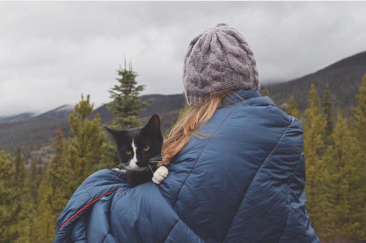 campingwithcats's tweet photo. #cathaiku 
To my great chagrin,
We snuggle for survival. 
I am quite livid. 
#campingwithcats @exploration_cat https://t.co/ctn89gMuNK