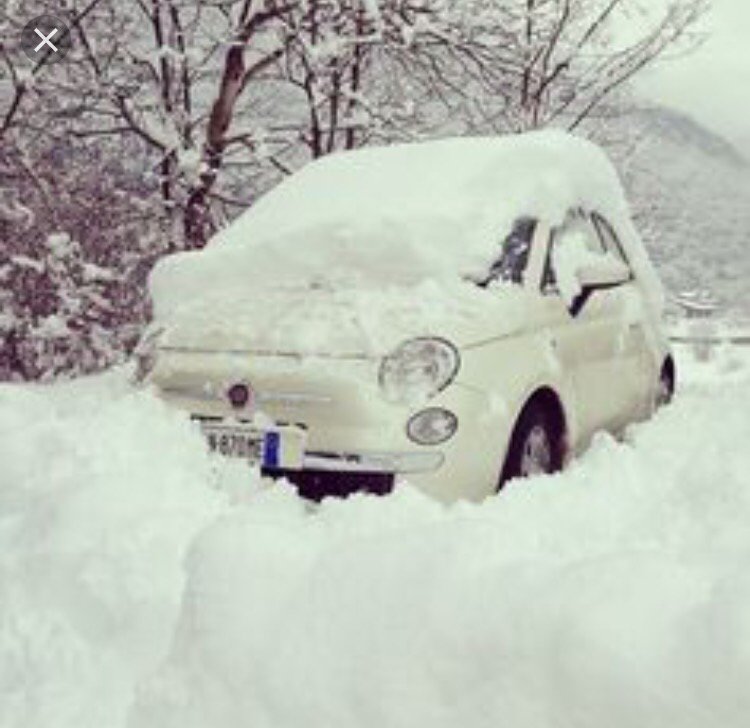 Cinquecento tweet media