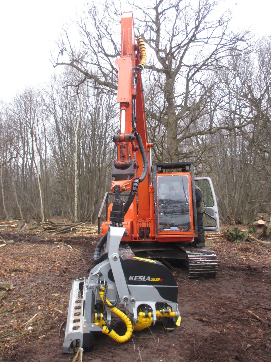 JGill_Pearson's tweet photo. If you go down to the woods today you'll be in for a big surprise!! #Daewoo #Solar130LC #Kelsa25SH https://t.co/Ti035UMzrQ