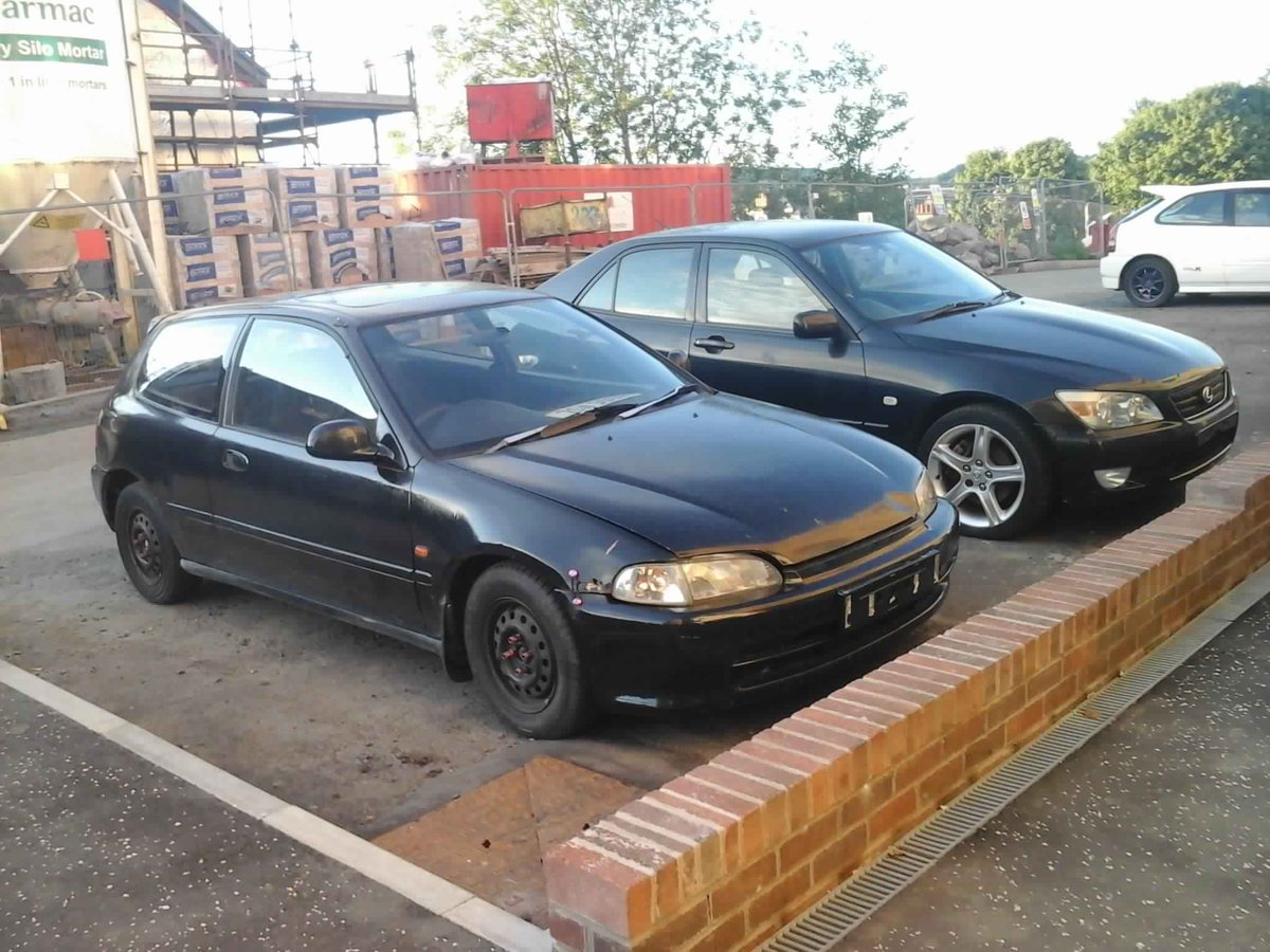 jdm_bunny's tweet image. Violet and beast and my wee bonnie just showing her butt #japftw