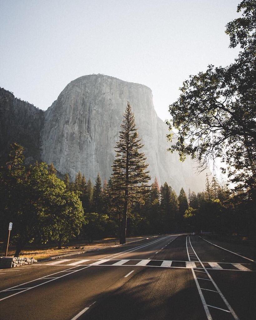 ✦❃Advanced Life❃✦ tweet media