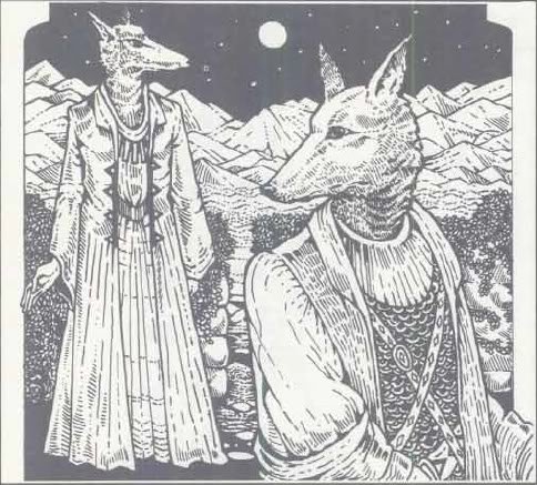 Elentarnew's tweet photo. Recovered the Knowledge of the Ancients,tome of Hutaakan wisdom,the party thinks to explore Temple of Pflarr:https://t.co/z71F10jTrt https://t.co/74sn1sCrNC