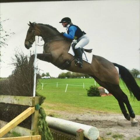 Preparations are well under way for #NECHT 2017!
#BritishEventing #eventinglive #crosscountry <a href="/BEventing/">British Eventing</a>