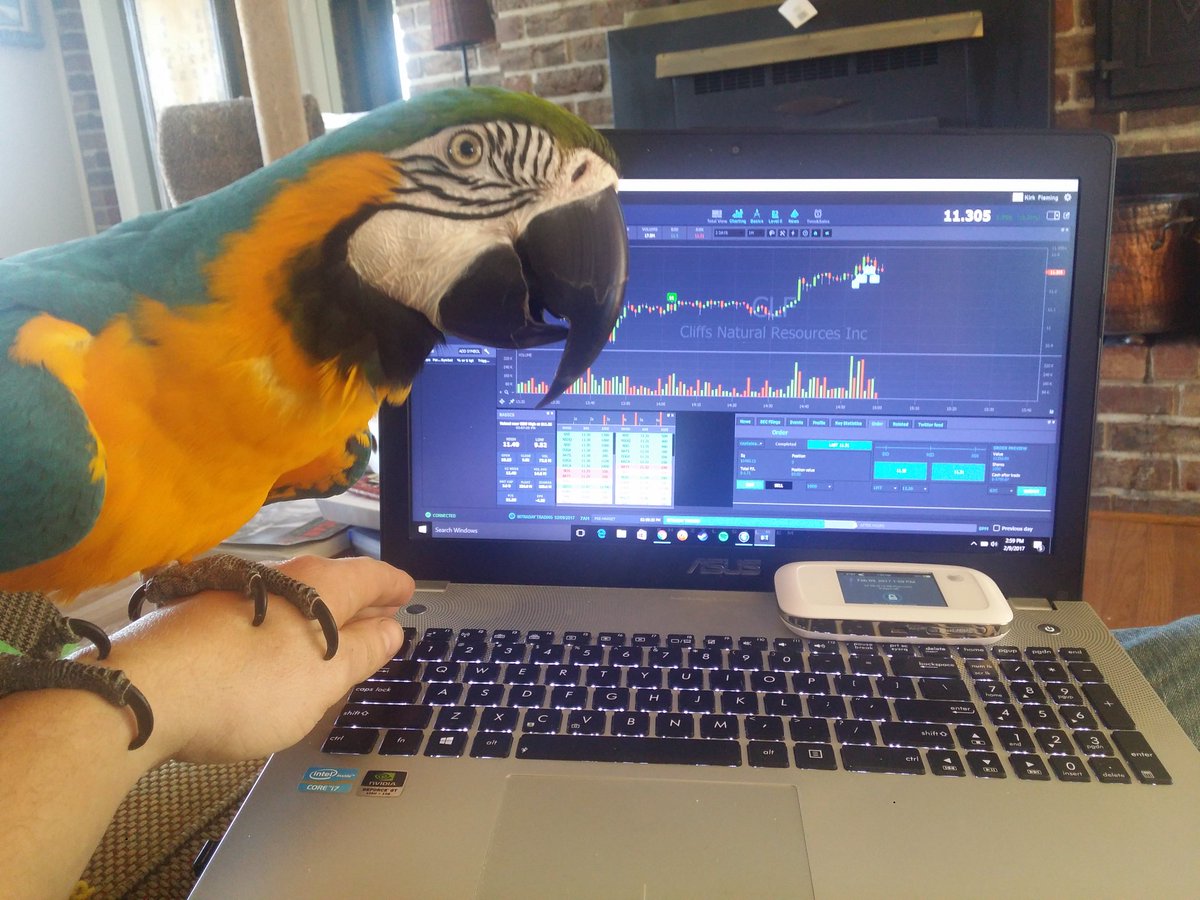 Serpey tweet media