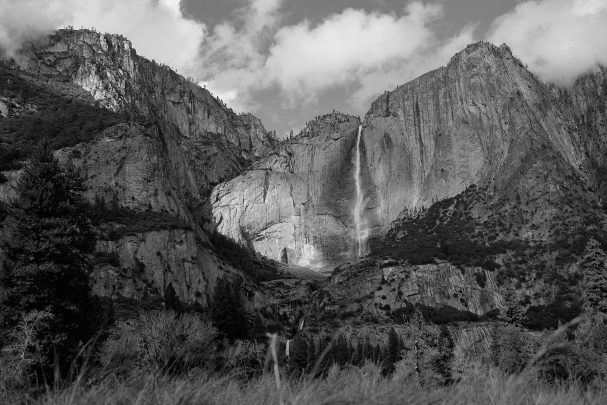 ScienceMarchYosemite tweet media