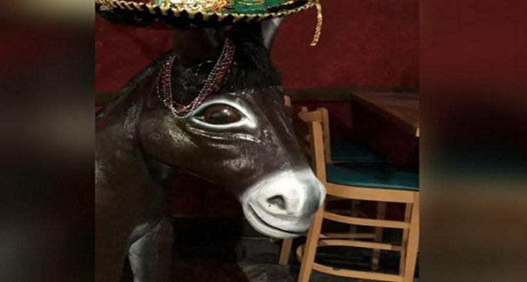 Woman sues Mexican restaurant after falling off donkey statue #ForTheDonkey bit.ly/2k7d5KU https://t.co/Paupu1bOkR