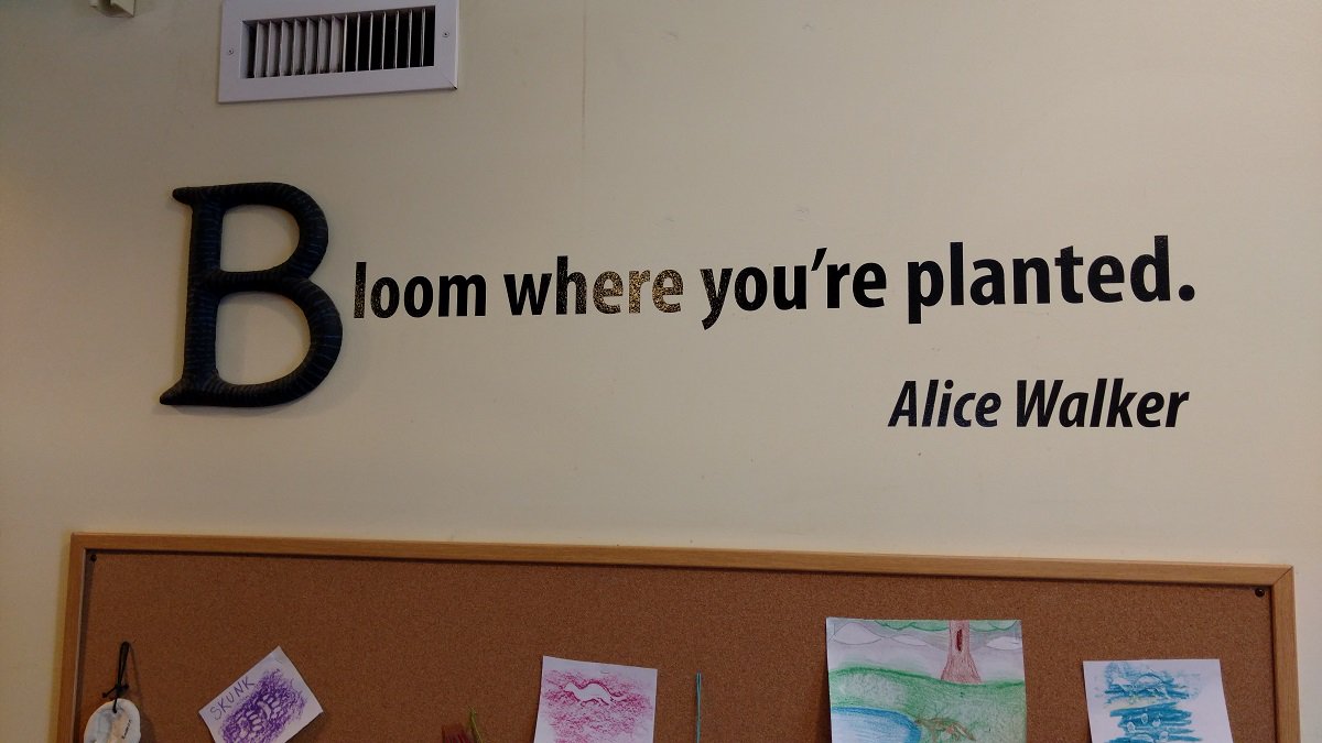Stand tall and be beautiful, every day. \"Bloom where you\re planted\" Happy birthday, Alice Walker! 