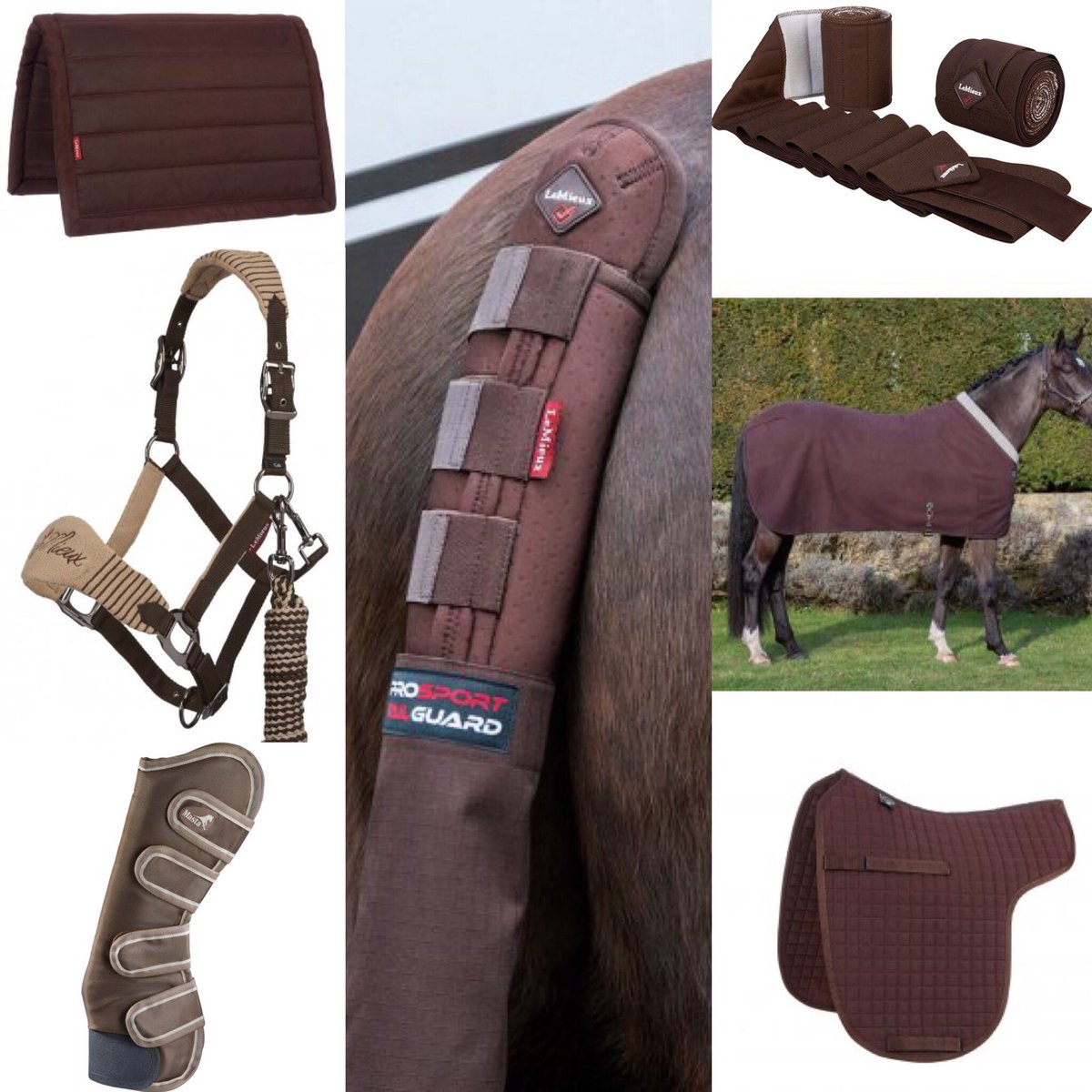 COSaddlery's tweet photo. It's a week for brown #brownweek @mastarugs @horsehealthcouk https://t.co/XHW1jACrh0