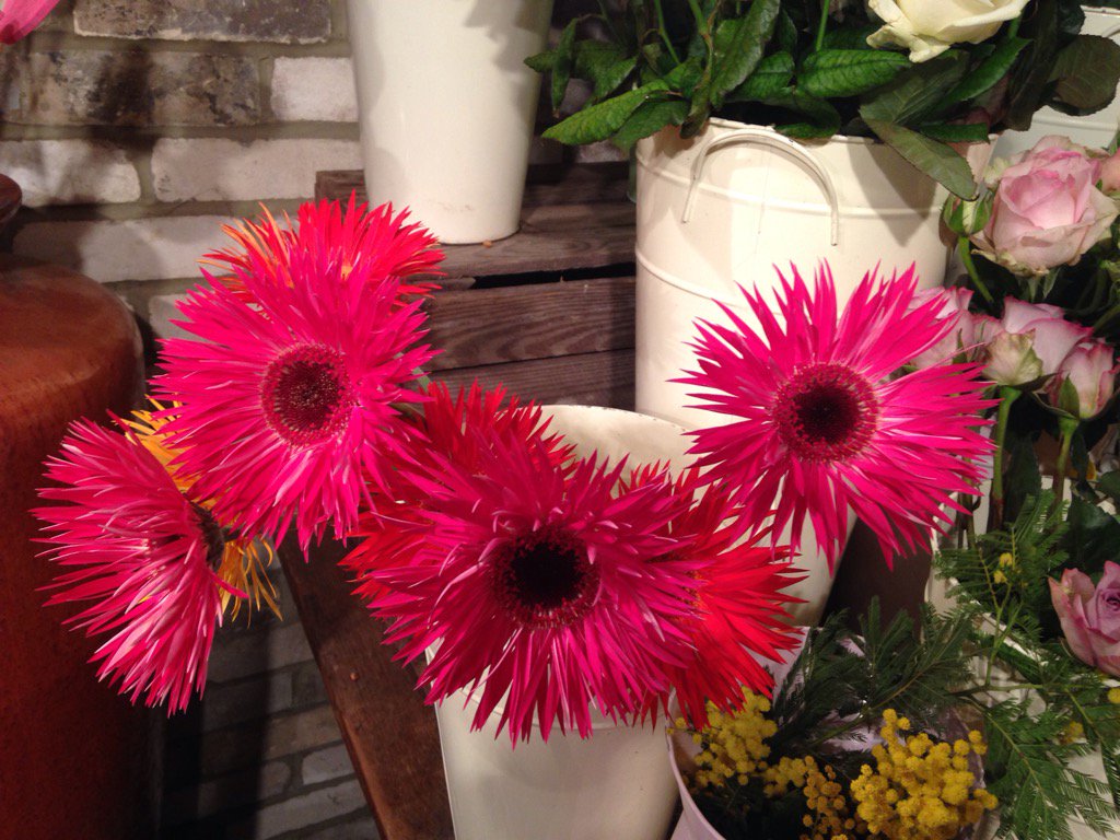 #unusualFlowers #HenleyValentinesDay #FlowersHenley