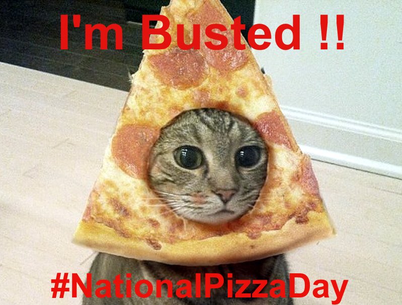 design_lyy's tweet photo. Its #NationalPizzaDay what better way to celebrate, than sharing a #pizza and a #cat #meme https://t.co/KmvFRfPsv0