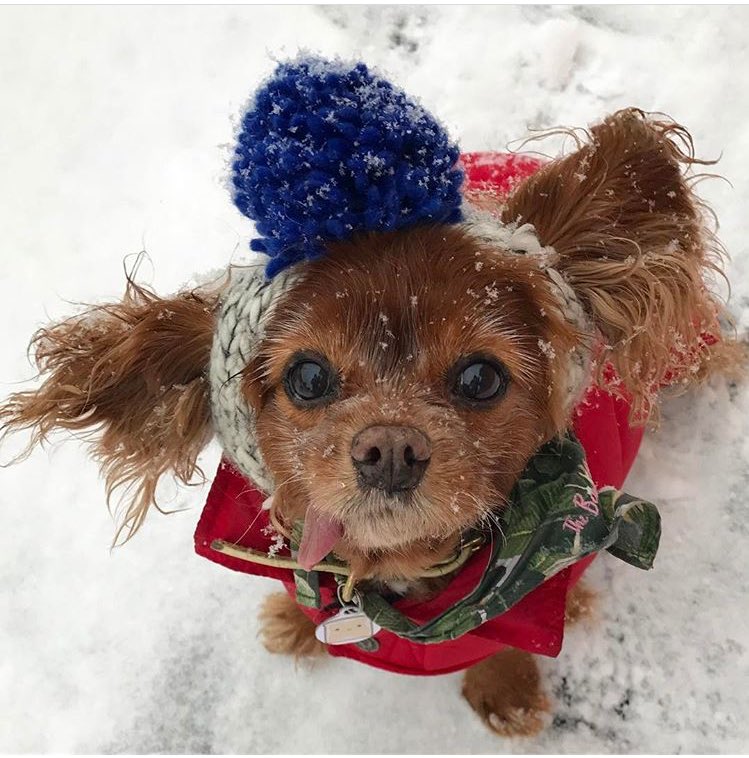 JanelParrish's tweet photo. Dis snow got me like... https://t.co/SYG2sPKJpG