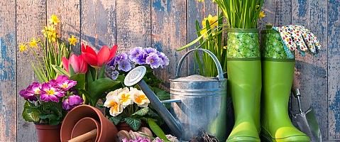 uitingroningen's tweet photo. EVENT: Tuin &amp; Sfeer, 16 tm 19 feb, https://t.co/iyYX6qNLjA #uit #tuin #bloemen #tuinieren #bollen #planten #groningen #martiniplaza https://t.co/Xm1HMnOOp7
