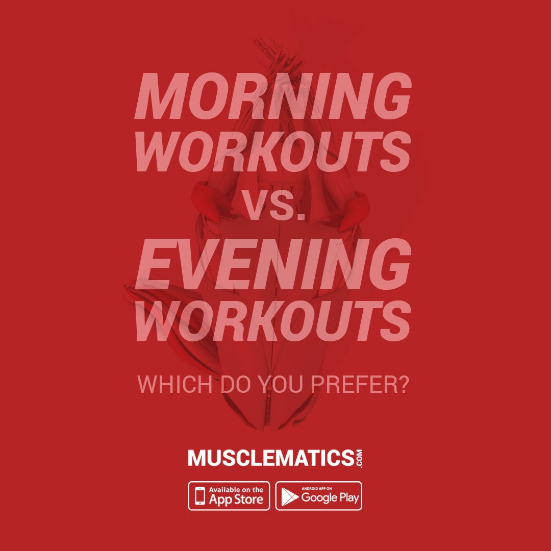 MuscleMatics's tweet photo. #MorningWorkouts? #EveningWorkouts? BOTH?? Which do you prefer? #💪
#MuscleMatics https://t.co/JIeDOgZ7yn