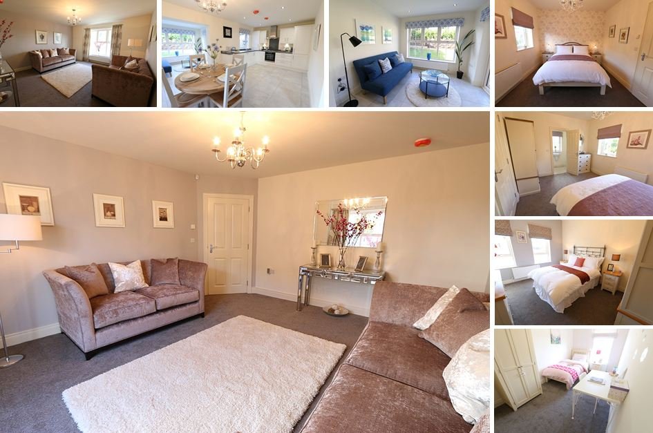 Colliers_NI's tweet photo. LYNN HALL PARK SHOW HOUSE | THIS SUNDAY 2-4PM #Bangor #NI #NINewBuild #NewHomes
Contact us: 028 9024 4000 or https://t.co/Qo59UgPmSt https://t.co/SoFJt2ydRB