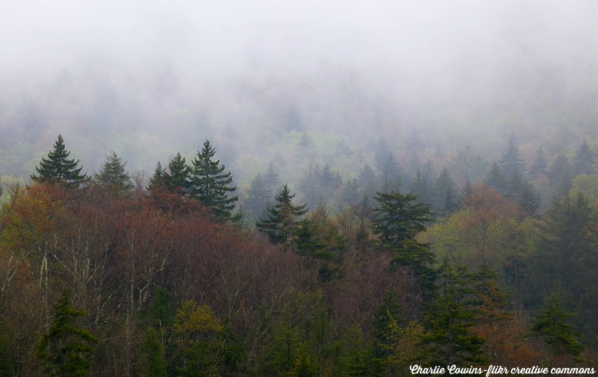 BORMonumentWV's tweet photo. @heralddispatch op-ed urges @RepEvanJenkins to #KeepItPublic https://t.co/ClIODhaLzg RT if you agree! https://t.co/bQK5dJB6tm