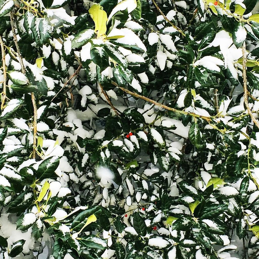 DenimHunt tweet media