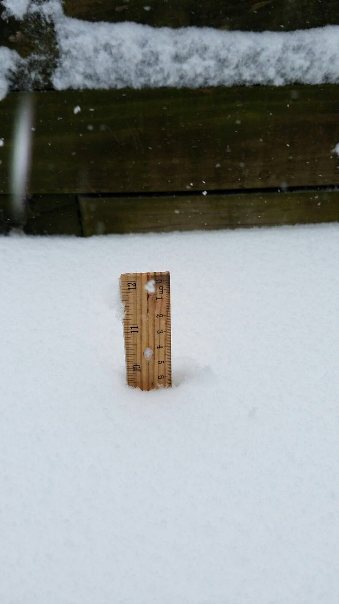 shahtech's tweet photo. Looks like 9.5 inches so far in Melville #listormwatch @News12LI @SamanthaAugeri 12 noon EST ❄️☃️ https://t.co/njDVyrCxzg