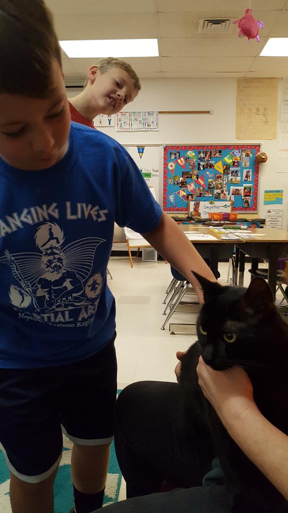 CFESMsLove's tweet photo. The #VBSPCA delivered another interesting lesson with Elsa, the cat. #Ancientegypt @cfescolts #epicyear #blackcat #thankyou https://t.co/PYPzNh27LZ