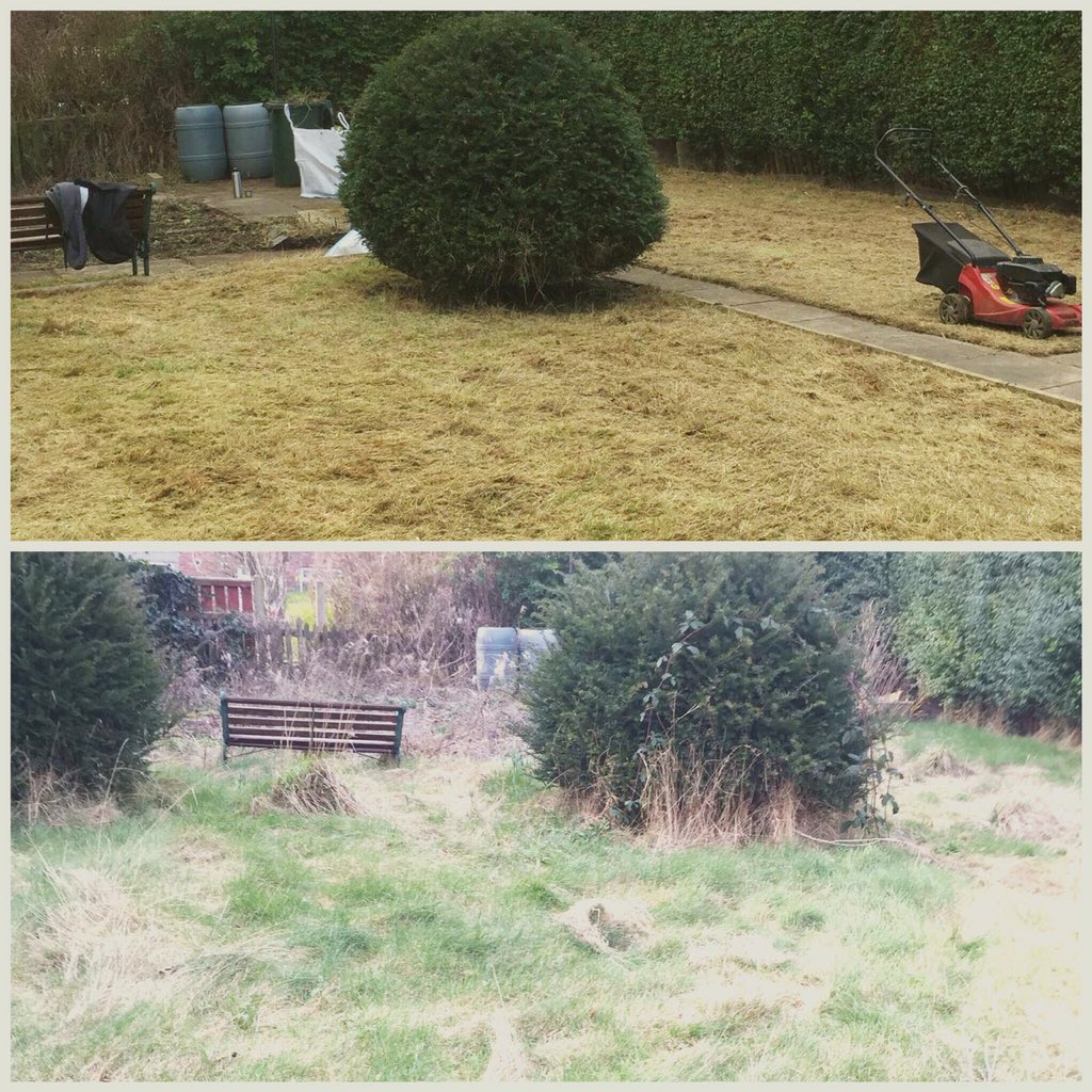 MGGardens's tweet photo. Before and after https://t.co/uOj5JqWKvm
