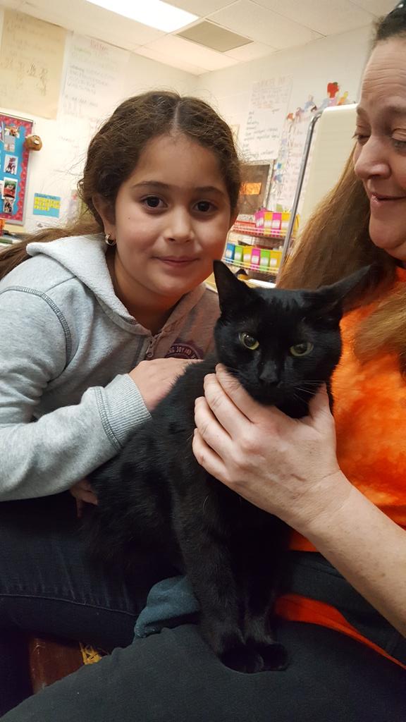 CFESMsLove's tweet photo. The #VBSPCA delivered another interesting lesson with Elsa, the cat. #Ancientegypt @cfescolts #epicyear #blackcat #thankyou https://t.co/PYPzNh27LZ