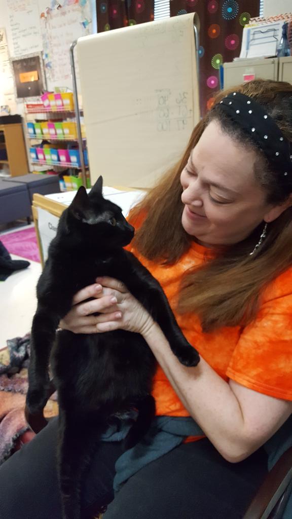 CFESMsLove's tweet photo. The #VBSPCA delivered another interesting lesson with Elsa, the cat. #Ancientegypt @cfescolts #epicyear #blackcat #thankyou https://t.co/PYPzNh27LZ