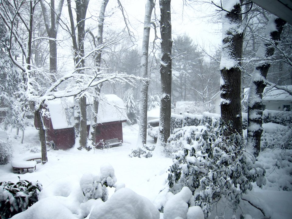 RichardLSutton's tweet photo. #LIStormwatch February blizzard on LI... https://t.co/RzIRUeNbLF