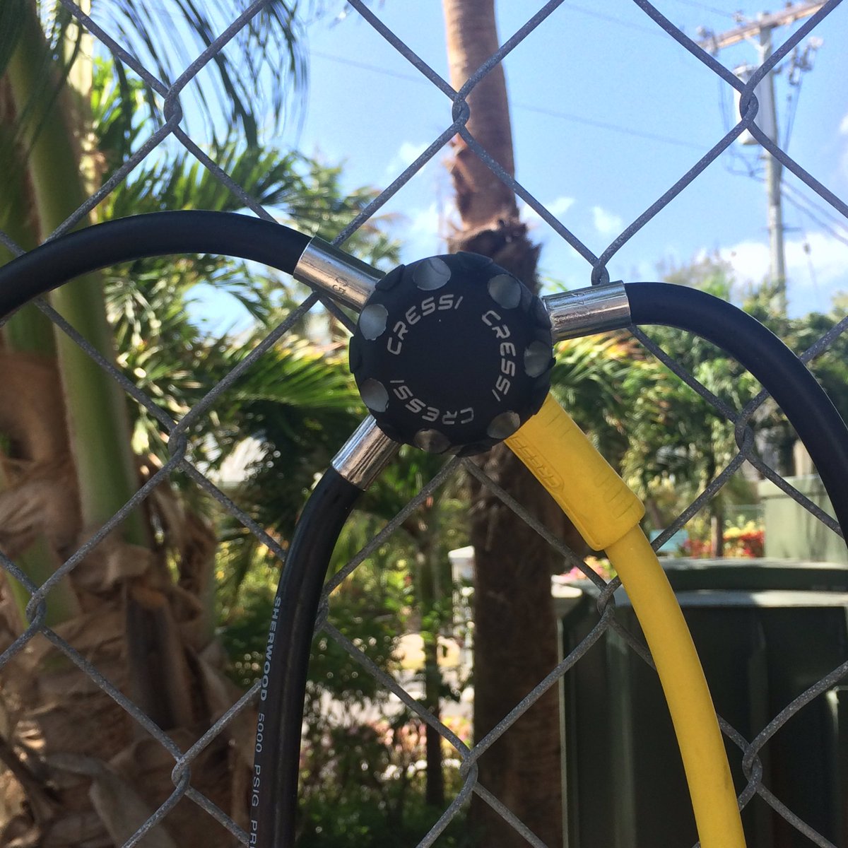 DiveAmbassador's tweet photo. We love our new #Cressi regulators! They're great! #scubadiving #PADI #regulators #grandcayman @DiveAmbassador https://t.co/fqFCi9HmJY