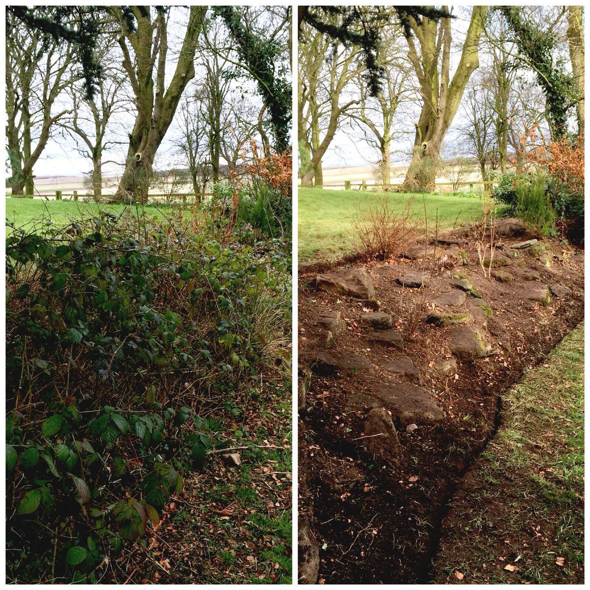 MGGardens's tweet photo. Before and after https://t.co/bF1j0xIbXE