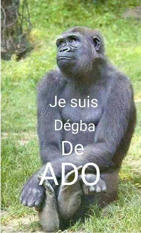 Abibe8Abibe's tweet photo. C I-225 C'EST PAS TOI SEUL NOUS SOMMES AUSSI #DEGBA QUE TOI. https://t.co/VdMHOSmGC9
