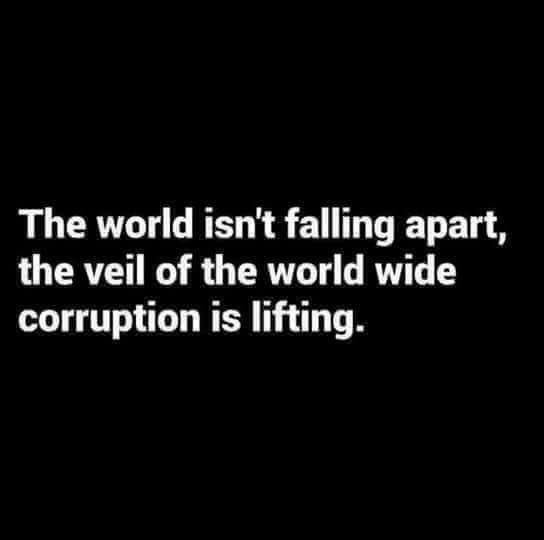 Anonymous4571's tweet photo. https://t.co/gNVWTwK5w9