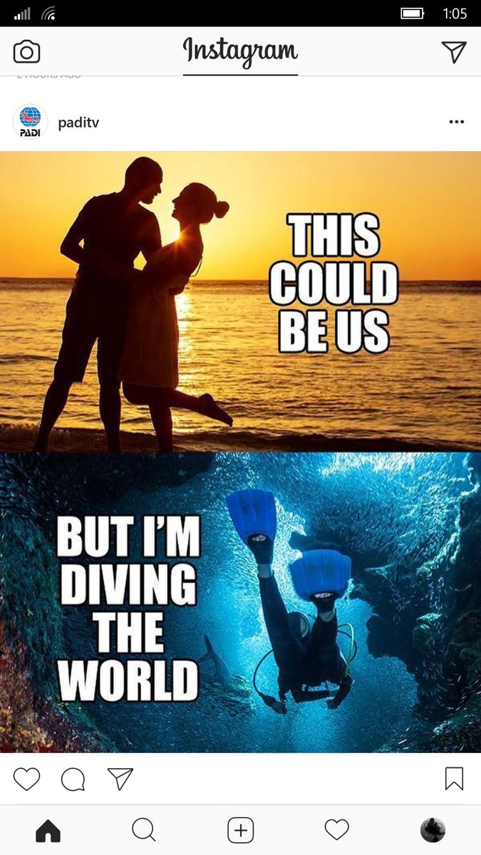 aiaimios's tweet photo. This could be us when we're not diving of course @HuzairDiah 🙊 #hidivebuddy #howwasthat #cairtakkkkkk https://t.co/k5d8xg6Zcw