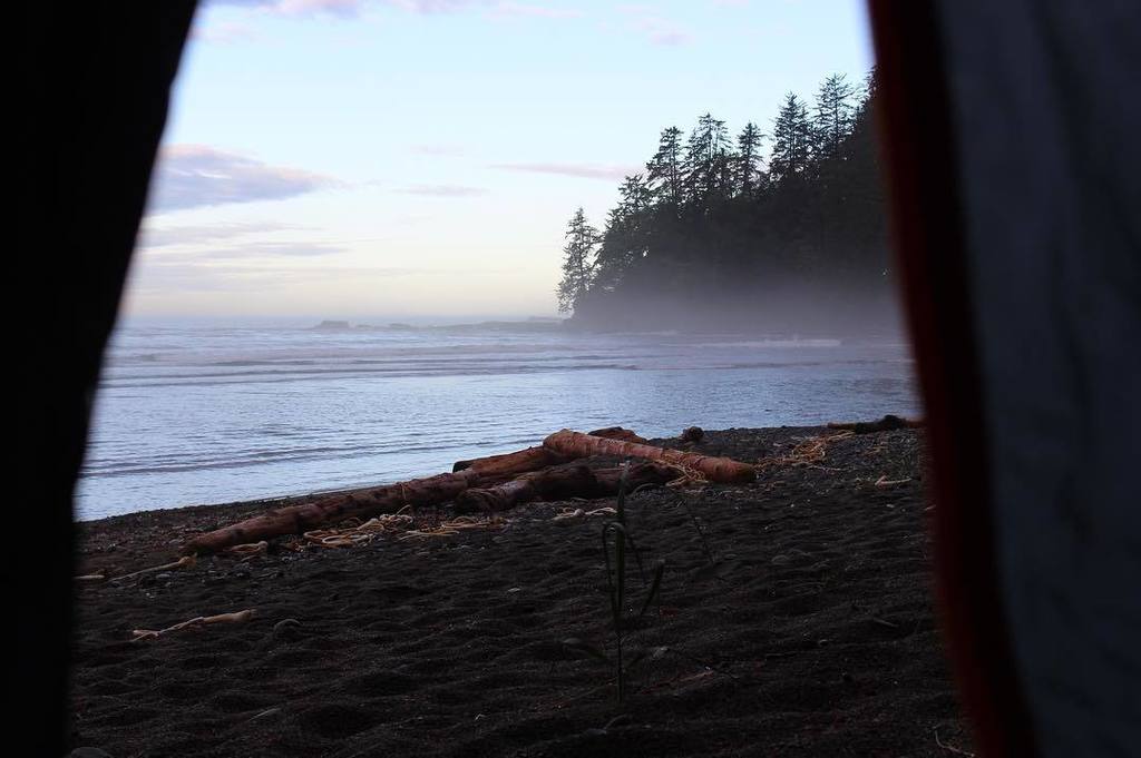 DownunderVO's tweet photo. A peak outside. 
#BeautifulBC #Camping #Beach #GoodMorning #Beautiful #Photography #BeachC… https://t.co/GlUx2u2bO4 https://t.co/w4pfSt0ePL