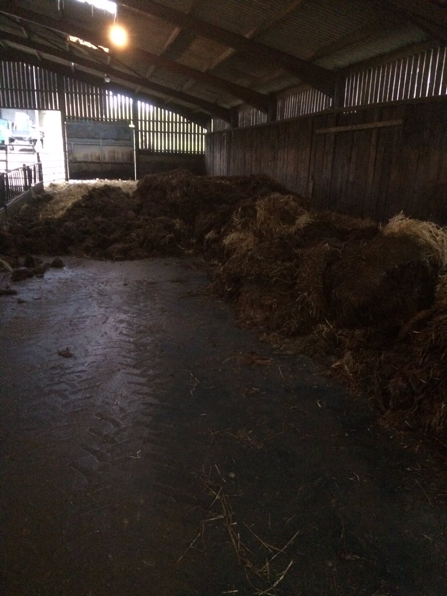 Franknixey's tweet photo. Youngsters outside to day, as we cleared out their old bed and put a new one in. #countrysmells https://t.co/vJj9PkKQxU