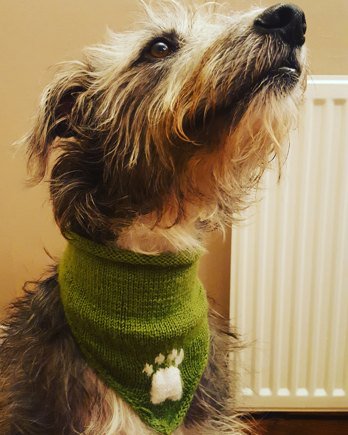 Our Community is also a great place to collectively 'aaaw' at pets + knitwear! bit.ly/2k7r3fN