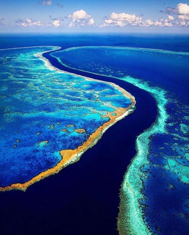 wxwows's tweet photo. Great Barrier Reef, Australia https://t.co/hwXcuFK8JX