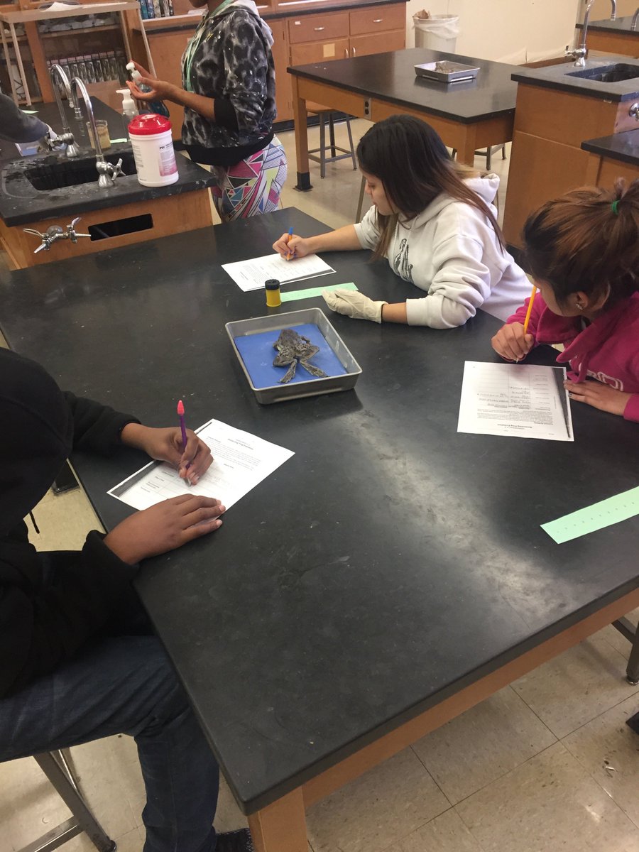 Frog adaption lab - dissections begin tomorrow! <a href="/EstacadoHS/">Estacado High School</a>