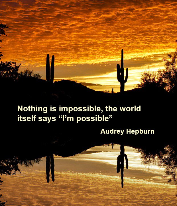 Will you finally go this year? You know the destination we’re talking about.
#Explore #Scottsdale #Arizona #Travel