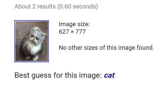 MsTorious's tweet image. Was trying to find out what kind of cat this was.... thanks @google  #googleimagesfail