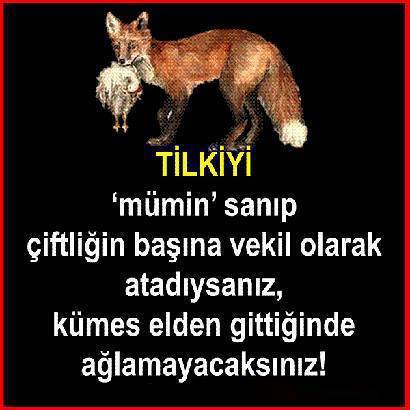 drfnsz (@drfnsz) on Twitter photo 